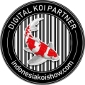 digitalkoi